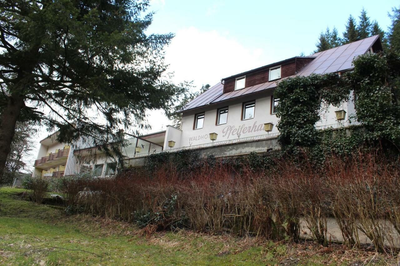 Waldpension Pfeiferhaus Варменштайнах Экстерьер фото