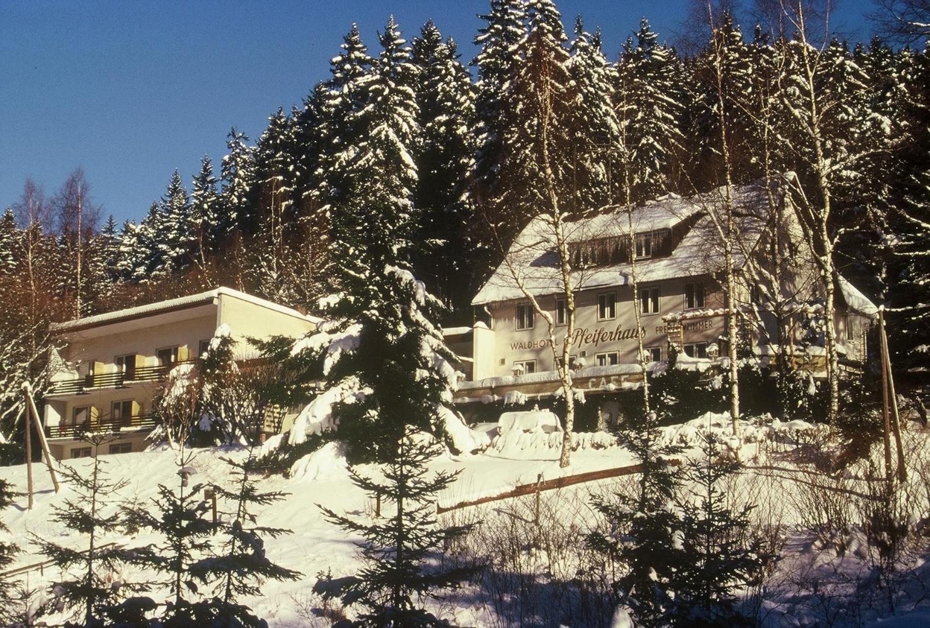 Waldpension Pfeiferhaus Варменштайнах Экстерьер фото