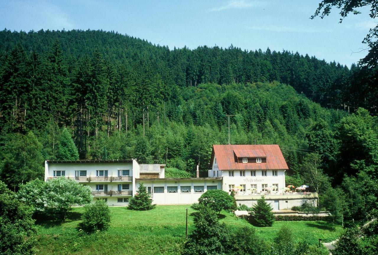Waldpension Pfeiferhaus Варменштайнах Экстерьер фото